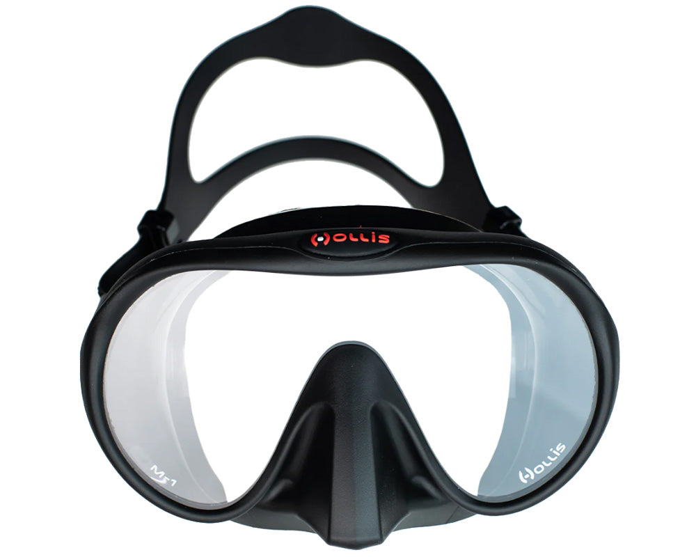 HOLLIS M1 Mask