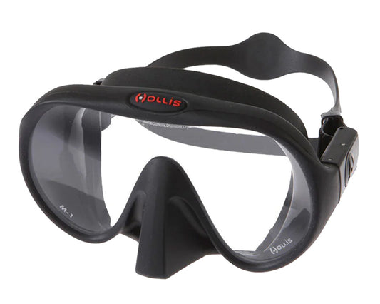HOLLIS M1 Mask